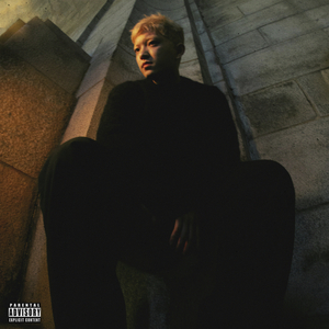 外国人的大鸡巴交配
