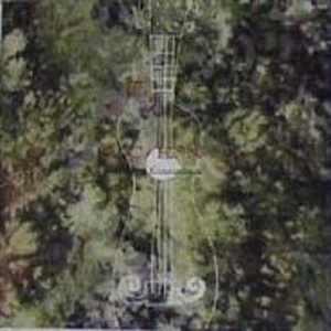 外国人的大鸡巴交配
